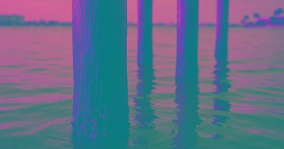 How to Tell if Your Dock Pilings Are Rotting (and What Marine Borers Really Do)