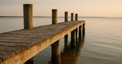 How red tide and algae blooms damage docks and pilings in Sarasota Bay